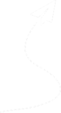 Decorative vector line graphic